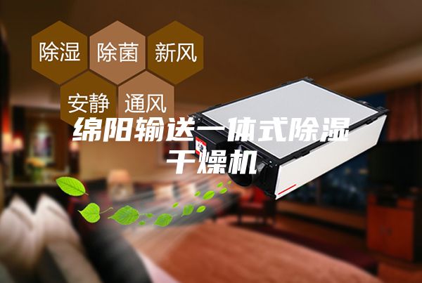 綿陽(yáng)輸送一體式除濕干燥機