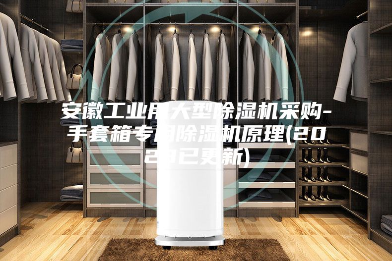 安徽工業(yè)用大型除濕機采購-手套箱專(zhuān)用除濕機原理(2023已更新)