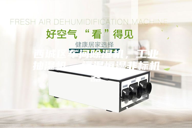 西城區車(chē)間除濕機，工業(yè)抽濕機  恒溫恒濕非標機器