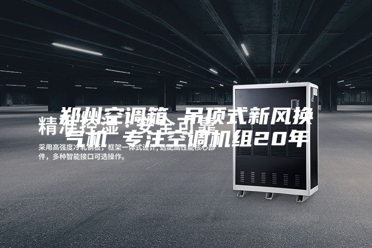 鄭州空調箱 吊頂式新風(fēng)換氣機 專(zhuān)注空調機組20年