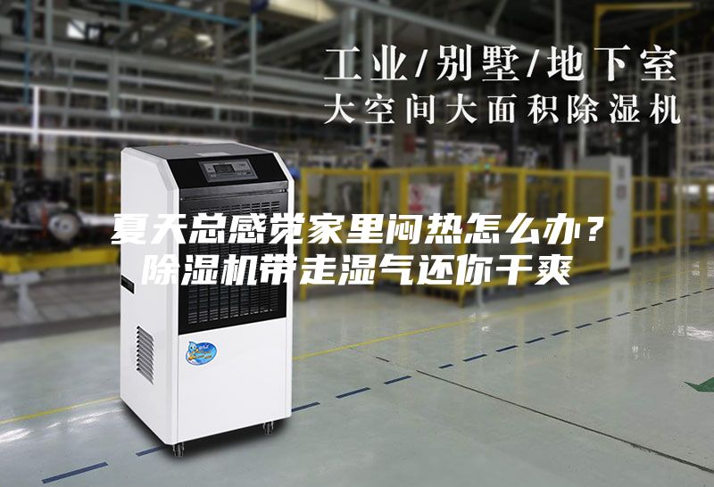 夏天總感覺(jué)家里悶熱怎么辦？除濕機帶走濕氣還你干爽