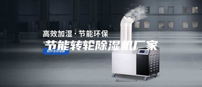 節能轉輪除濕機廠(chǎng)家
