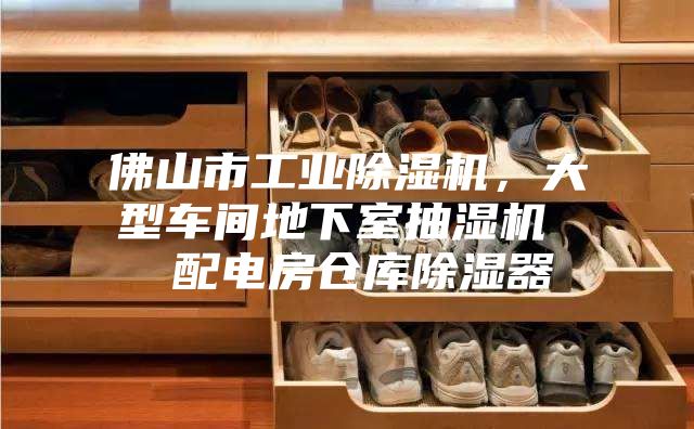 佛山市工業(yè)除濕機(jī)，大型車間地下室抽濕機(jī)  配電房倉(cāng)庫(kù)除濕器