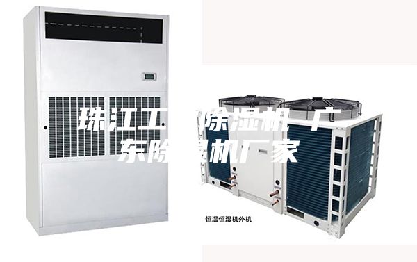 珠江工業(yè)除濕機 廣東除濕機廠(chǎng)家