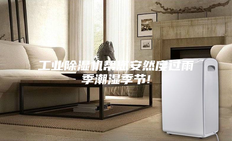 工業(yè)除濕機幫您安然度過(guò)雨季潮濕季節!