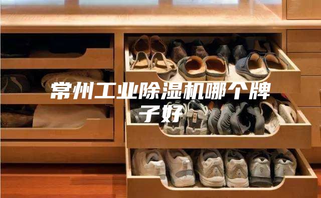 常州工業(yè)除濕機哪個(gè)牌子好