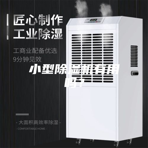 小型除濕機有用嗎？