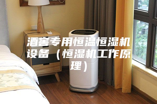 酒窖專(zhuān)用恒溫恒濕機設備（恒濕機工作原理）
