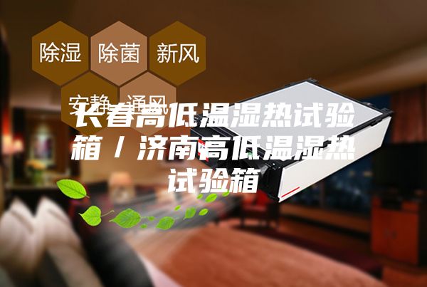 長(cháng)春高低溫濕熱試驗箱／濟南高低溫濕熱試驗箱
