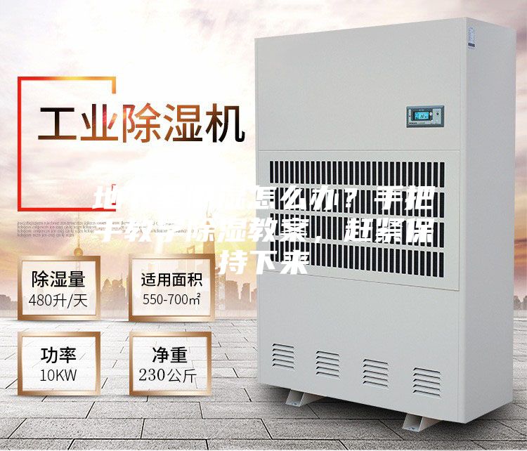 地下室潮濕怎么辦？手把手教學(xué)除濕教案，趕緊保持下來(lái)