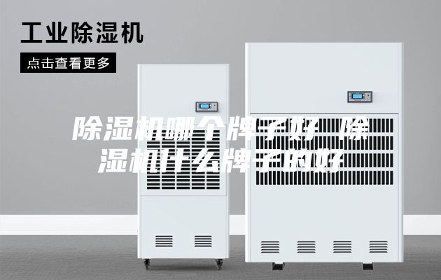 除濕機哪個(gè)牌子好 除濕機什么牌子的好