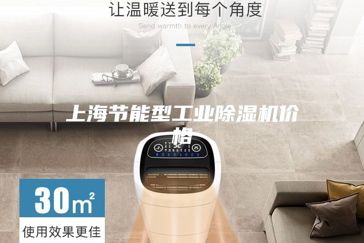 上海節能型工業(yè)除濕機價(jià)格