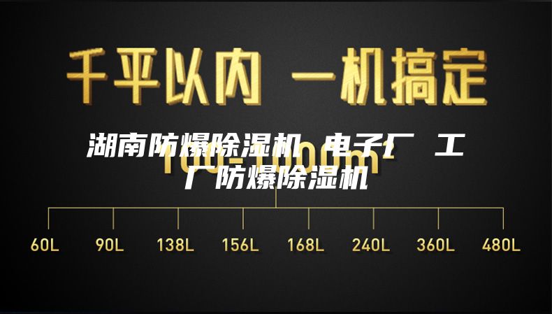湖南防爆除濕機 電子廠(chǎng) 工廠(chǎng)防爆除濕機