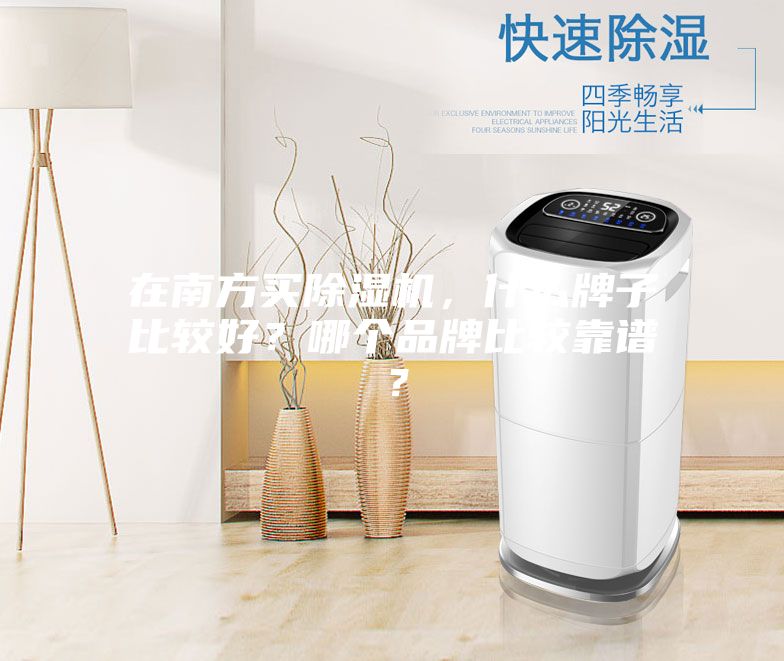 在南方買(mǎi)除濕機，什么牌子比較好？哪個(gè)品牌比較靠譜？