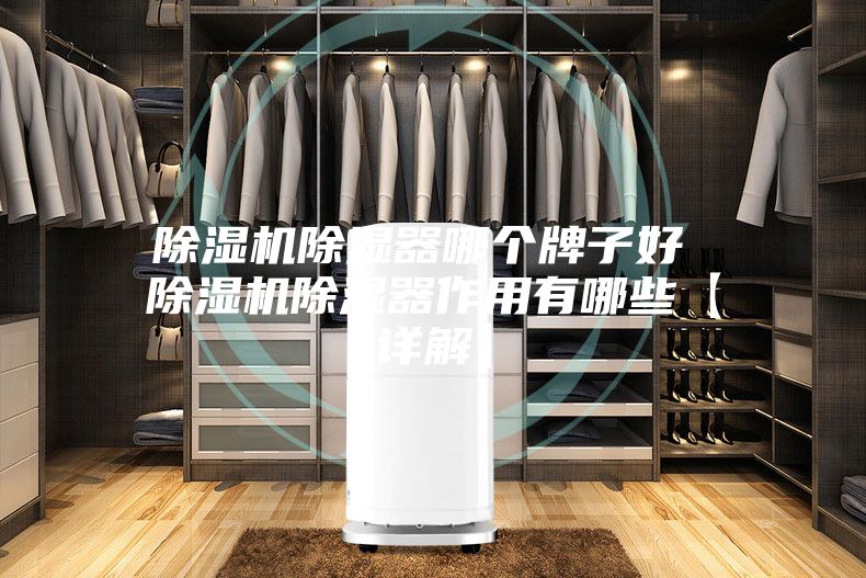除濕機除濕器哪個(gè)牌子好 除濕機除濕器作用有哪些【詳解】