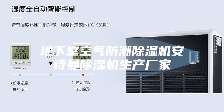 地下室空氣防潮除濕機安詩(shī)曼除濕機生產(chǎn)廠(chǎng)家