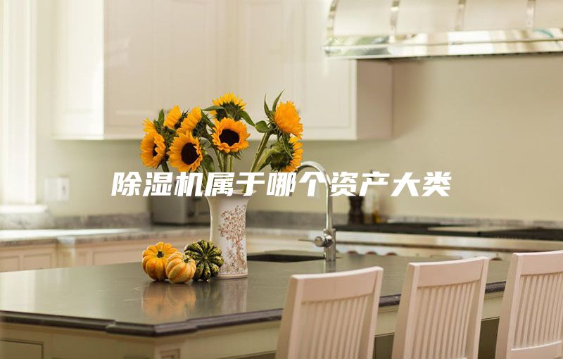 除濕機屬于哪個(gè)資產(chǎn)大類(lèi)