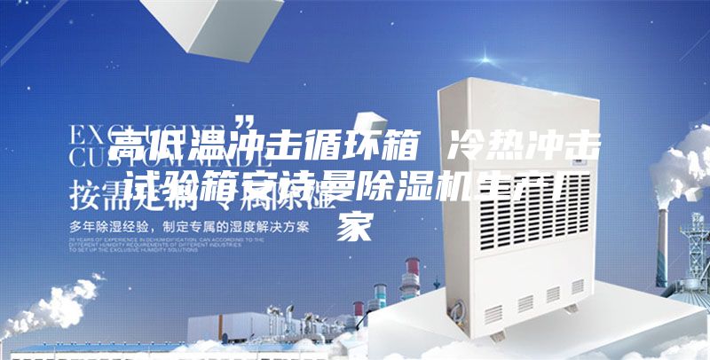 高低溫沖擊循環(huán)箱 冷熱沖擊試驗箱安詩(shī)曼除濕機生產(chǎn)廠(chǎng)家