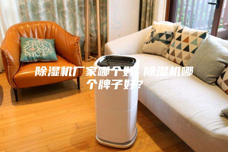 除濕機廠(chǎng)家哪個(gè)好 除濕機哪個(gè)牌子好？