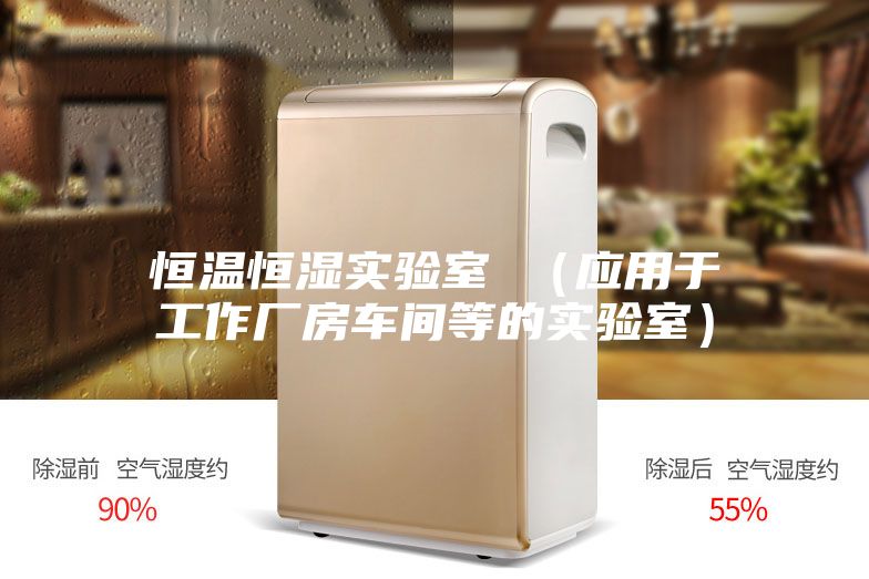 恒溫恒濕實(shí)驗室 （應用于工作廠(chǎng)房車(chē)間等的實(shí)驗室）