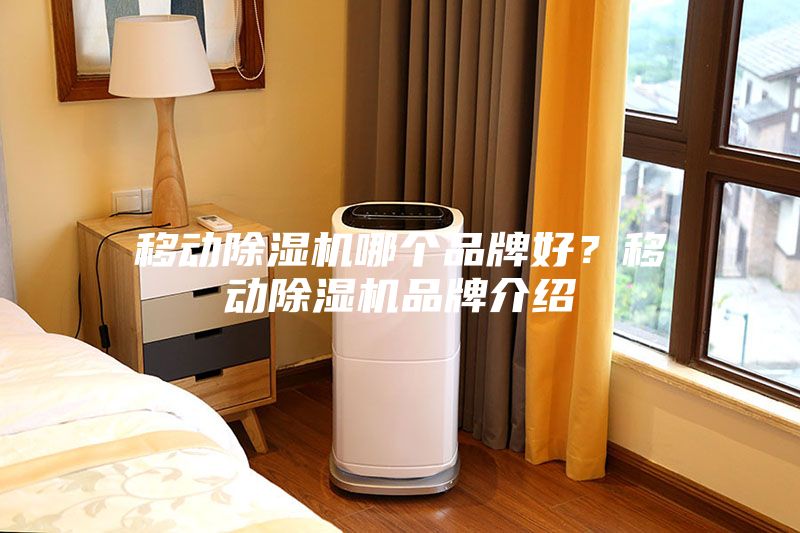 移動(dòng)除濕機哪個(gè)品牌好？移動(dòng)除濕機品牌介紹