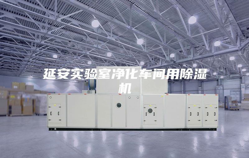延安實(shí)驗室凈化車(chē)間用除濕機