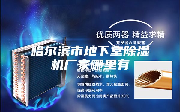 哈爾濱市地下室除濕機廠(chǎng)家哪里有