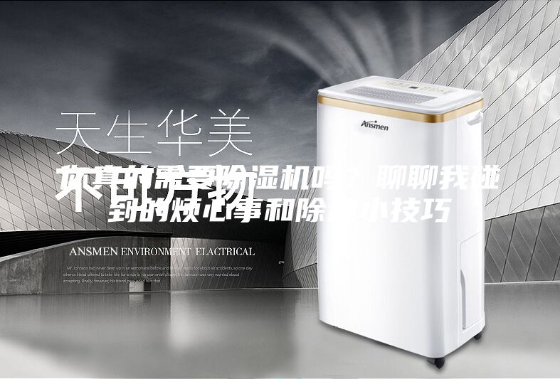 你真的需要除濕機嗎？聊聊我碰到的煩心事和除濕小技巧
