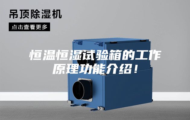 恒溫恒濕試驗箱的工作原理功能介紹！