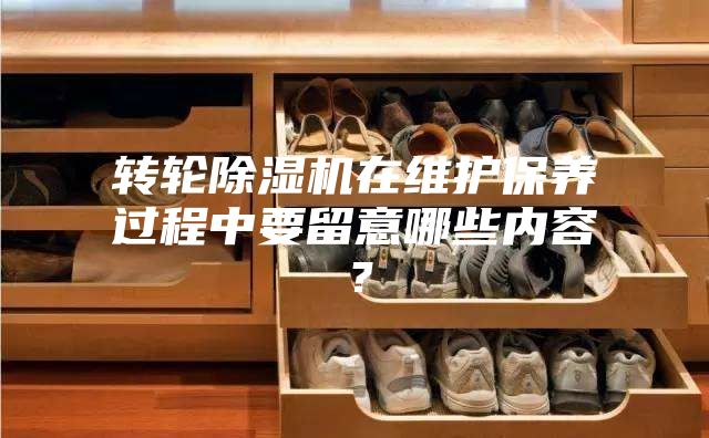 轉輪除濕機在維護保養過(guò)程中要留意哪些內容？