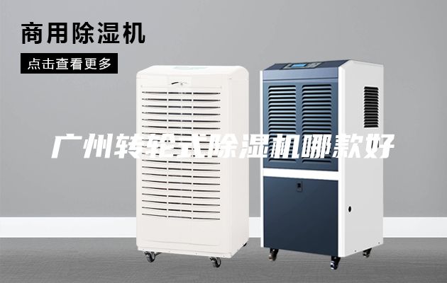 廣州轉(zhuǎn)輪式除濕機(jī)哪款好
