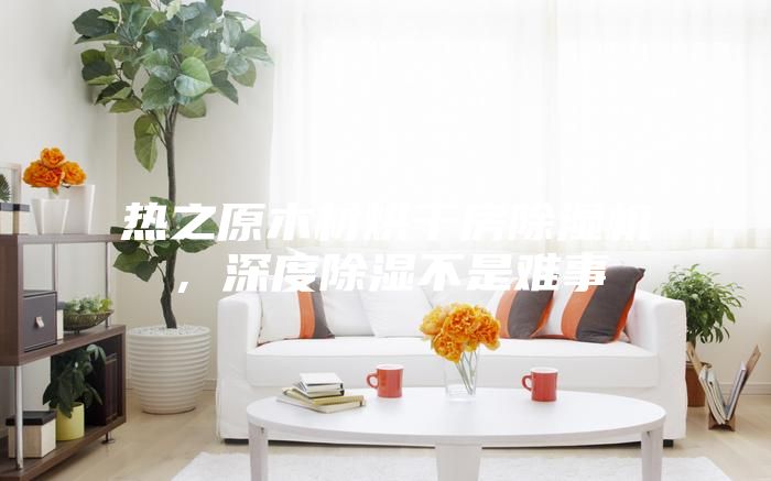 熱之原木材烘干房除濕機，深度除濕不是難事