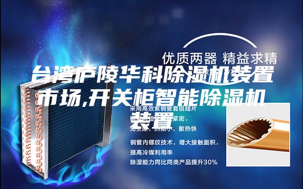 臺(tái)灣廬陵華科除濕機(jī)裝置市場(chǎng),開(kāi)關(guān)柜智能除濕機(jī)裝置