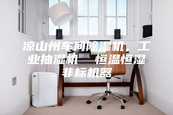 涼山州車(chē)間除濕機，工業(yè)抽濕機  恒溫恒濕非標機器
