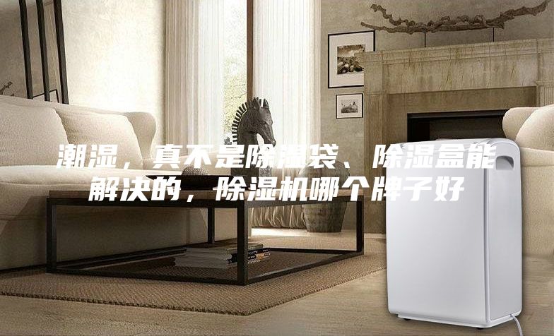 潮濕，真不是除濕袋、除濕盒能解決的，除濕機哪個牌子好