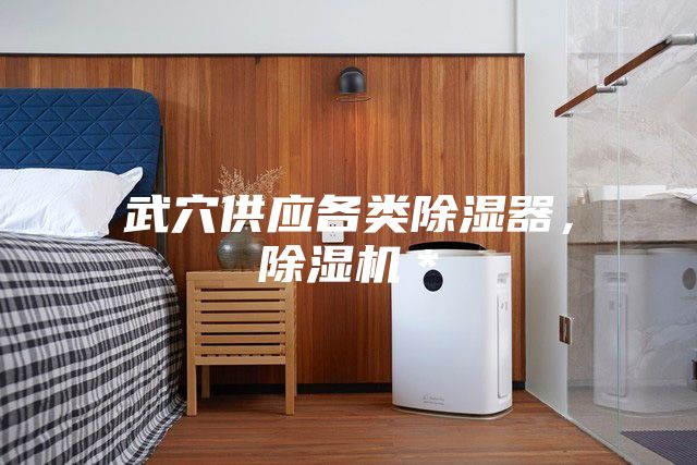 武穴供應各類(lèi)除濕器，除濕機＊