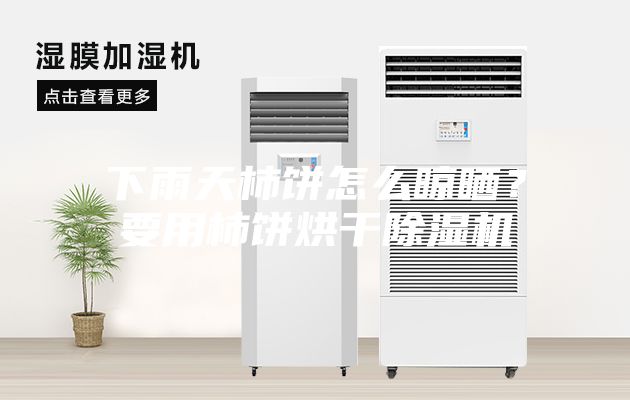 下雨天柿餅怎么晾曬？要用柿餅烘干除濕機
