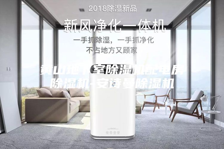 黃山地下室除濕機配電房除濕機-安詩(shī)曼除濕機