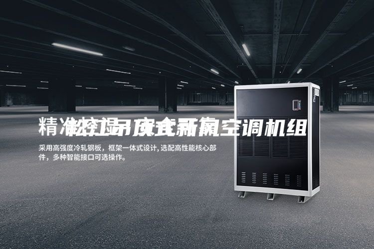松江吊頂式新風(fēng)空調機組