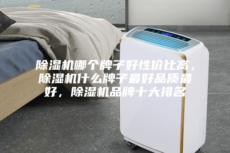 除濕機哪個(gè)牌子好性?xún)r(jià)比高，除濕機什么牌子最好品質(zhì)最好，除濕機品牌十大排名