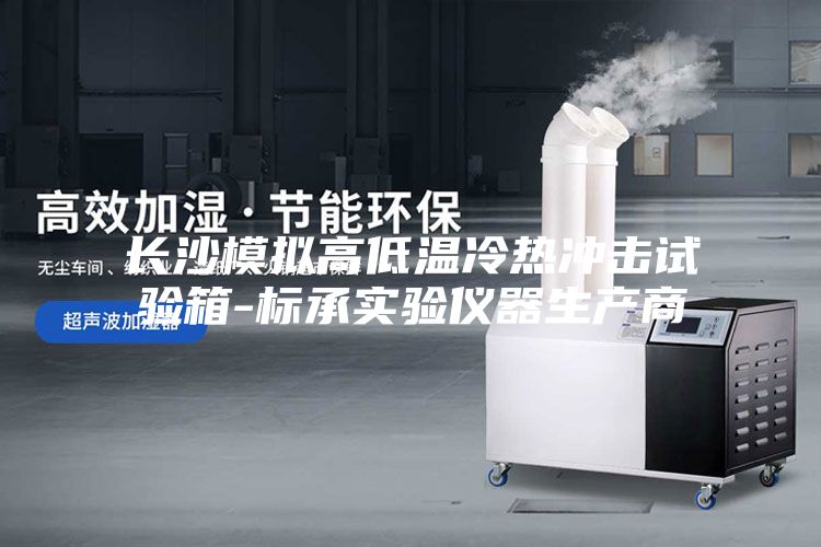 長(cháng)沙模擬高低溫冷熱沖擊試驗箱-標承實(shí)驗儀器生產(chǎn)商