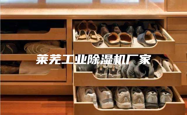 萊蕪工業(yè)除濕機廠(chǎng)家