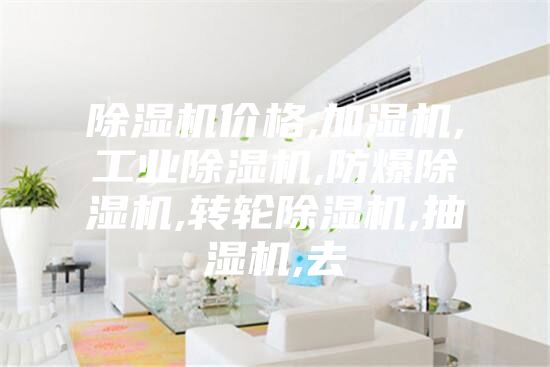 除濕機價(jià)格,加濕機,工業(yè)除濕機,防爆除濕機,轉輪除濕機,抽濕機,去
