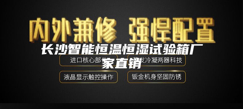 長(cháng)沙智能恒溫恒濕試驗箱廠(chǎng)家直銷(xiāo)