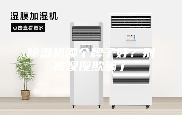 除濕機哪個(gè)牌子好？別被傻傻欺騙了