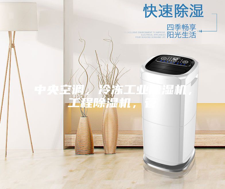 中央空調，冷凍工業(yè)除濕機，工程除濕機，管