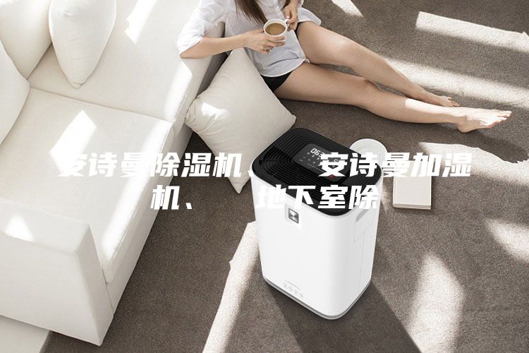 安詩曼除濕機、  安詩曼加濕機、  地下室除