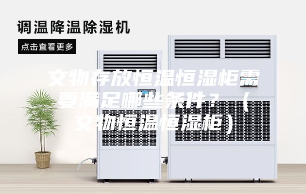 文物存放恒溫恒濕柜需要滿(mǎn)足哪些條件？（文物恒溫恒濕柜）