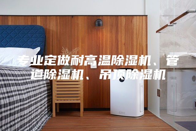 專業定做耐高溫除濕機、管道除濕機、吊頂除濕機
