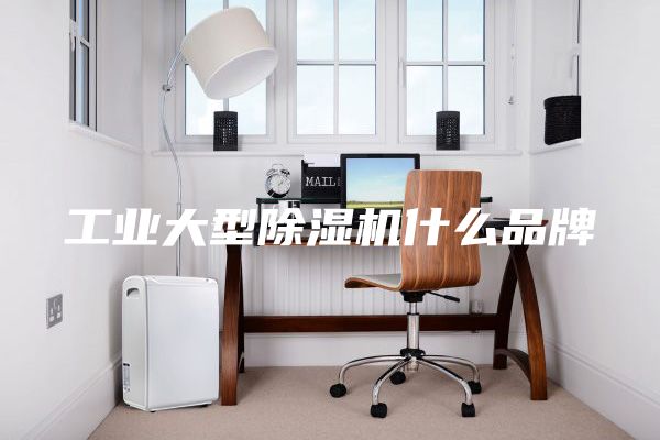 工業(yè)大型除濕機什么品牌